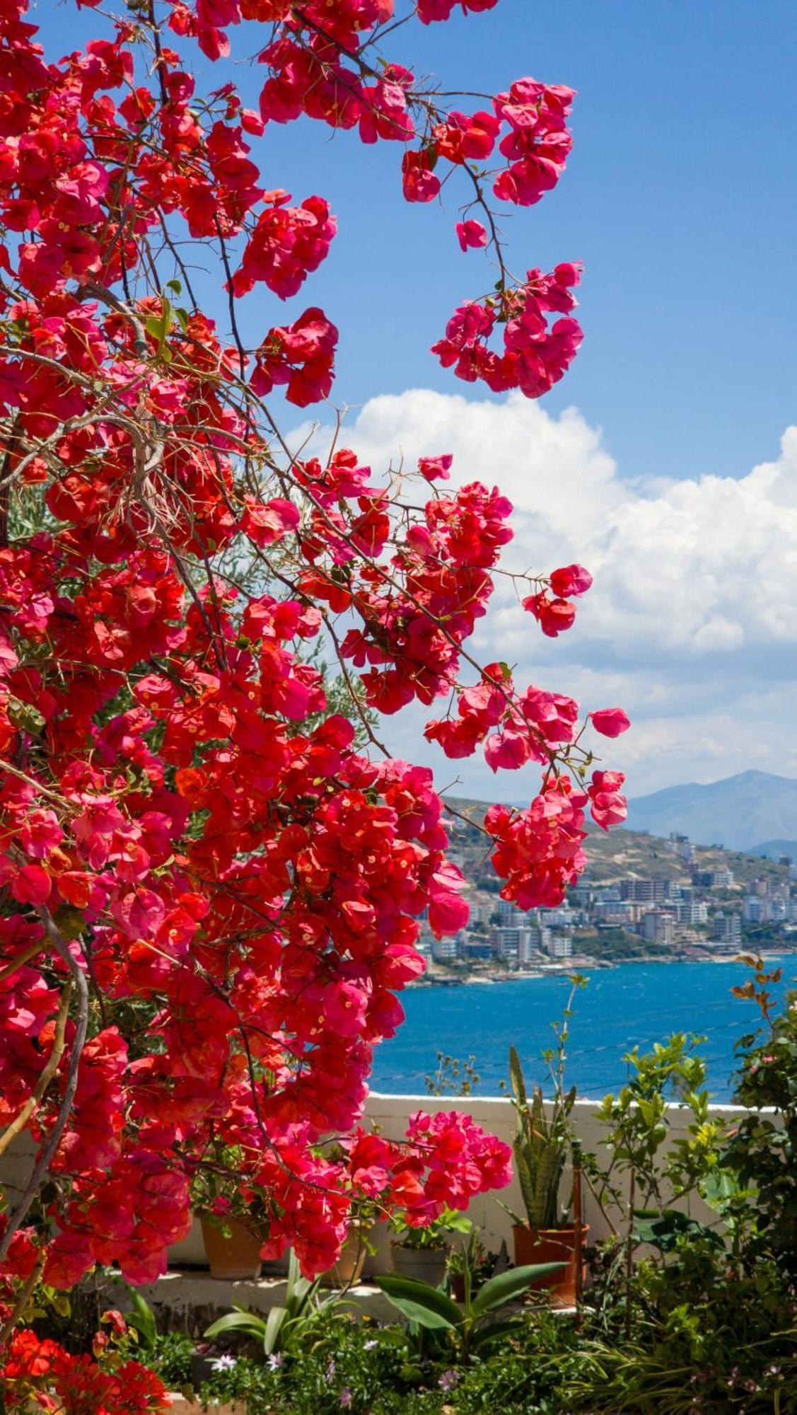 Mariana Apartamento Sarandë